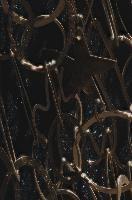 2013-11-12-19.55.55 ZS PMax.jpg